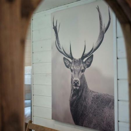 Chalet Le Grand Cerf Bullange/Büllingen Esterno foto