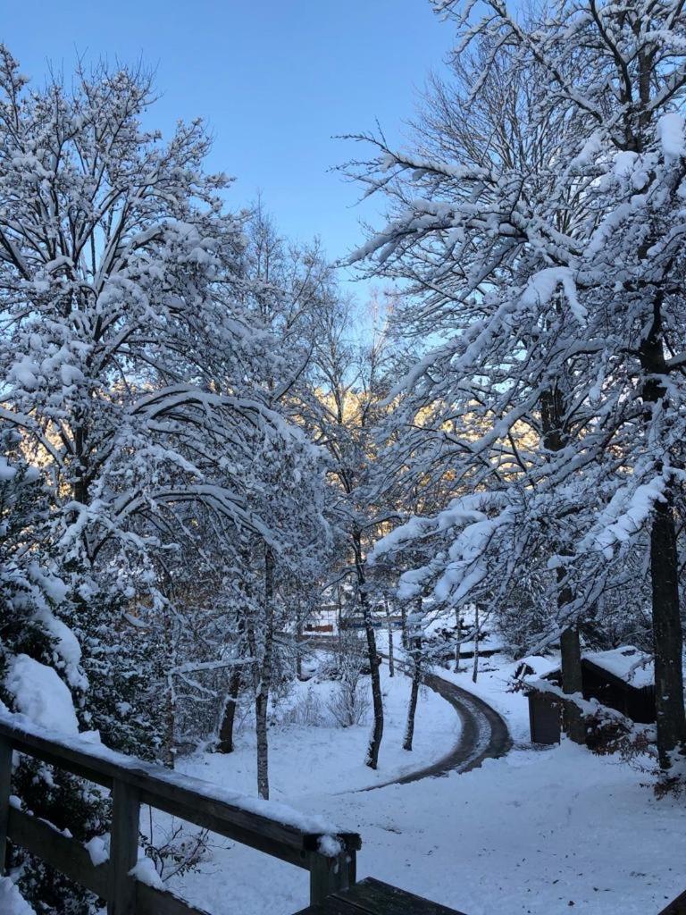 Chalet Le Grand Cerf Bullange/Büllingen Esterno foto