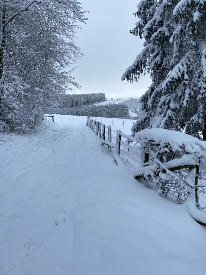 Chalet Le Grand Cerf Bullange/Büllingen Esterno foto