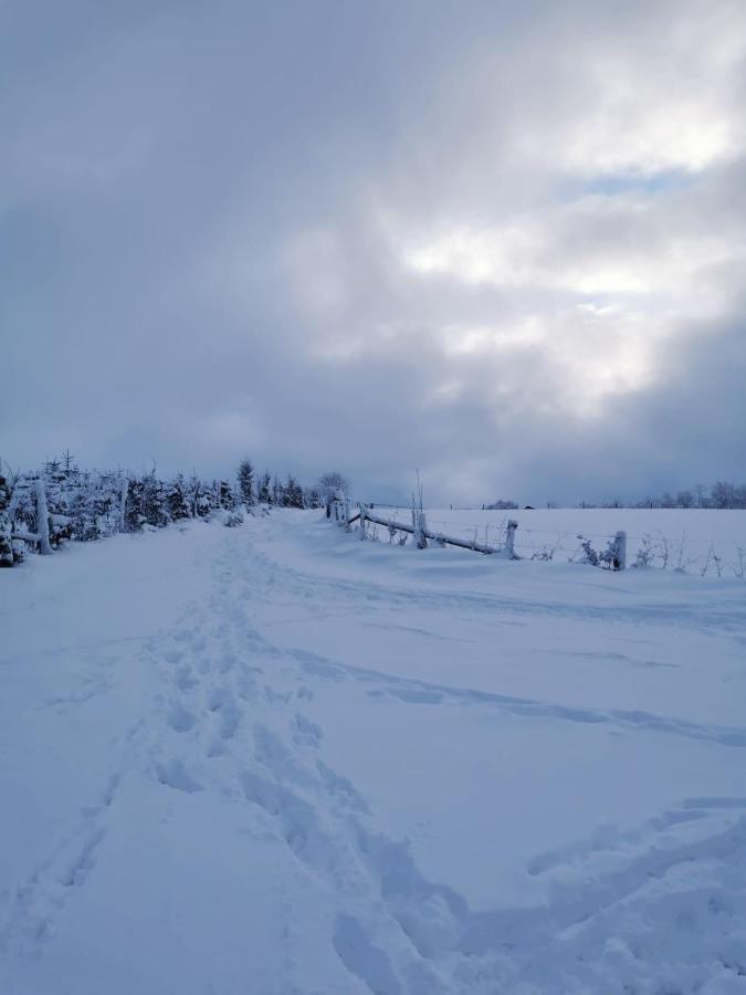 Chalet Le Grand Cerf Bullange/Büllingen Esterno foto