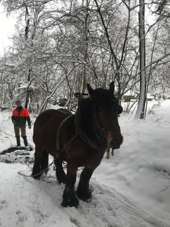 Chalet Le Grand Cerf Bullange/Büllingen Esterno foto
