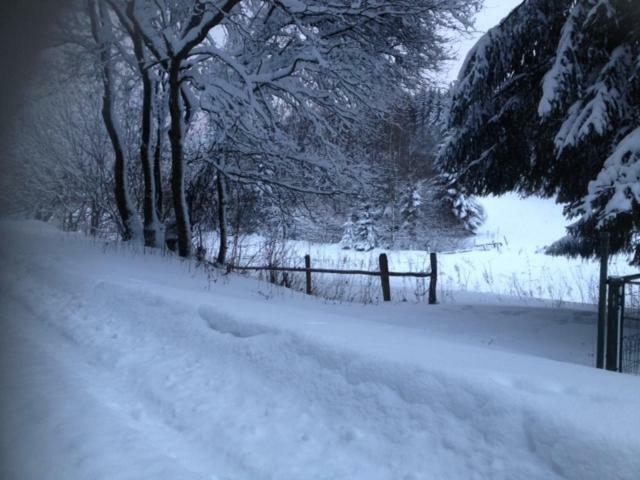 Chalet Le Grand Cerf Bullange/Büllingen Esterno foto